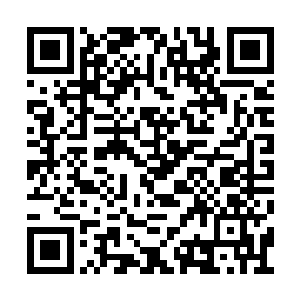 其他所有公共空间全部都被查理兹整理的一丝不二维码生成