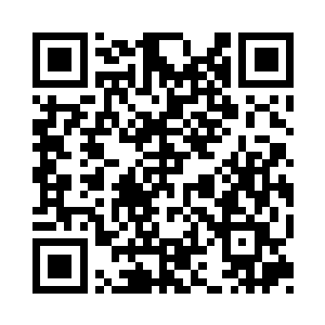 其他数个国家的数家服装公司的高层人员二维码生成