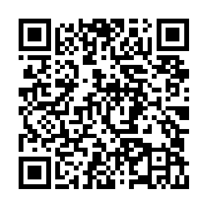 其他的事情跟着苏凡相比起来都显得不那么重要二维码生成