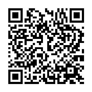 其他的人也各自催动自己的法宝紧随在许紫烟的身后二维码生成