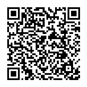 其他的人或许可以认为慕容家的人是忌惮孟猊或是忌惮孟猊背后的势力二维码生成