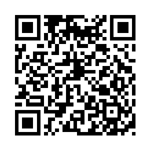 其他的几家不连手撕了新井才是怪事儿呢二维码生成