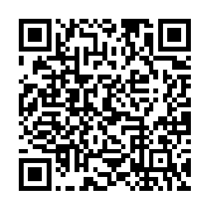 其他的十八个大修士也都纷纷将眼前的一个箱子盖上二维码生成