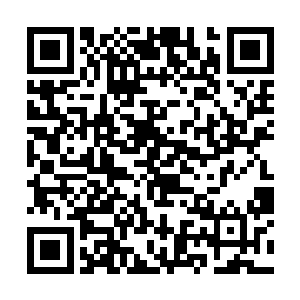 其他的四个人都说是有人给钱让他们到衙门去指认的二维码生成