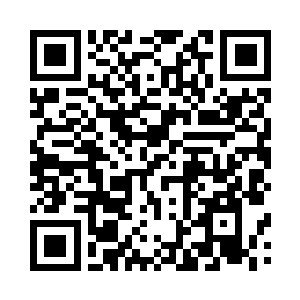 其他的神魂灵体已经全部被净化完全二维码生成