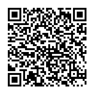 其他的那些百星罪者都是因为遇到了夏天之后才将肉体等级提升上来的二维码生成