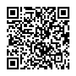 其他的除了细竹和兰花之外却还遇到了三个别的植株二维码生成