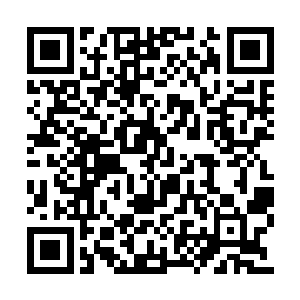 其他苏家成员都与往常的生活没什么太大的变化二维码生成