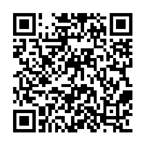 其他霜雪部的蛮族战士只怕早已上来阻止杨开了二维码生成