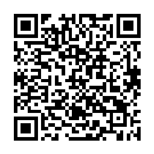 其余作用到肉身以及领域的所有能力无法完成解放二维码生成
