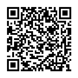 其余几个人看向马文的目光也变得有些不同起来二维码生成