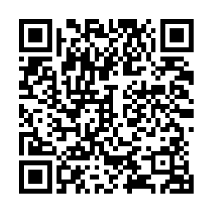 其余的两条妖蟒也可以从精神意识上打开连接通道进行交流二维码生成
