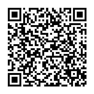 其余的人见到他们眼中三个神一般的长老竟然如此轻松的被杨戬干掉了二维码生成
