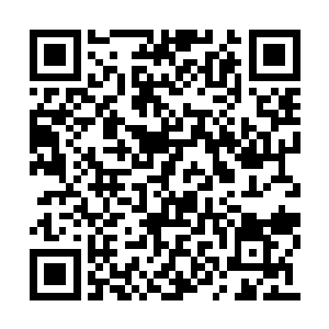其余的十位学长也纷纷冷笑的挥舞着手中的冷剑二维码生成