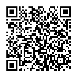 其余的学生们从赵佳瑶的逐渐遏抑不住的震惊表情上获取到了信息二维码生成