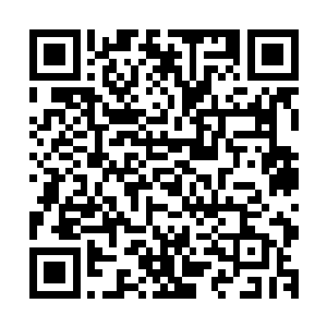 其余的材料修炼出来的身外化身的成长潜力都是十分的有限的二维码生成