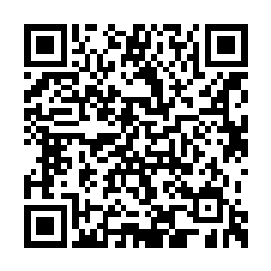 其余的豺狼人惊诧地看着这个突然冒出来的人类二维码生成