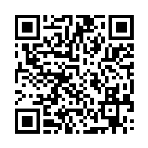 其余的运作都交给了林茂盛和杨莫奇二人去办二维码生成