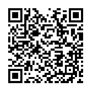 其余的都分散在了小孤山上的风云大殿四方的四大副盟主麾下二维码生成