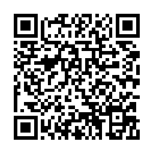 其内不乏有令人砰然心动的各种水族异宝和灵物二维码生成