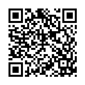 其受欢迎程度达到了一个前所未有的高度二维码生成