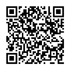 其威力也足以和人阶下品顶尖武技大成威力抗衡二维码生成