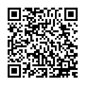 其实……现在占领地下城上面五层的人类并不是我们的新主人二维码生成