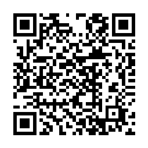 其实不光琼华天宫还有余下各个家族的人感到不可思议二维码生成