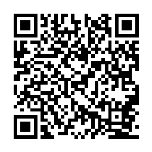 其实也是一种变相的对收集的数据智能选择的功能二维码生成