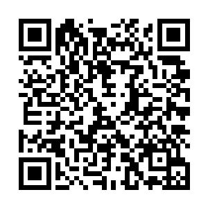 其实也都各自在各自建立了不少类似的收养孤儿的机构二维码生成