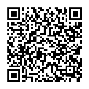 其实二人都明白如今的李清在九尾妖狐族中的地位非同凡响也不能将他严办二维码生成