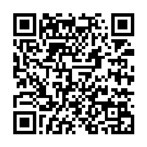 其实从答应走那条不臣之路他就没睡过一个踏实觉二维码生成
