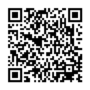 其实他也担心如果碰到什么危机的时候自己保护不了林琳灵二维码生成
