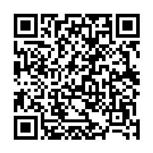 其实他心里明白自己这个弟弟应该不是愿意自己插手此事二维码生成