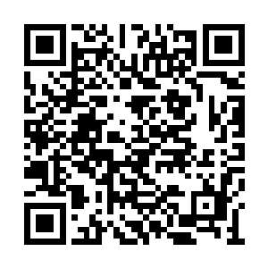 其实你可以考虑从剩下的七家里再挑一家签长约二维码生成