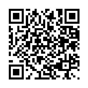 其实只是三圣与十二亚圣合力的封印二维码生成