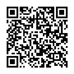 其实在以飞快的速度融合那神域炼药师关于鉴别木灵玉雕的记忆二维码生成
