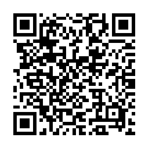 其实大部分的定位法镯已经集中在了月瑶和云飞扬等六人的手中二维码生成