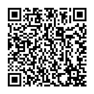 其实她除了见过唐玥绣一种长相奇怪的猪和杂草就没见过她绣什么了二维码生成