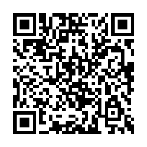 其实山里面的极品寻蛇也没有想象当中的那么少二维码生成