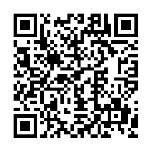 其实已经可以肯定奶娃应该是他自己在外面与人秘密生的无疑二维码生成