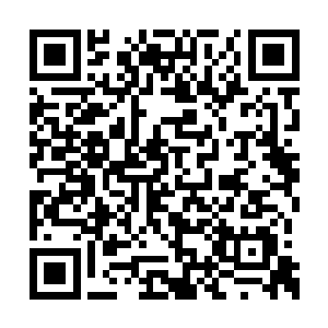 其实已经算是料定了上面已经遗忘了古神界之下二维码生成