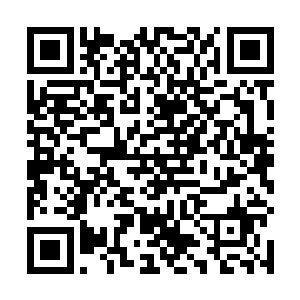 其实当初在培养龙王兰的时候岂不是也用到了他的鲜血二维码生成