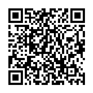 其实当初我用你的头发并没有预测出你就是坏我们大事的人二维码生成