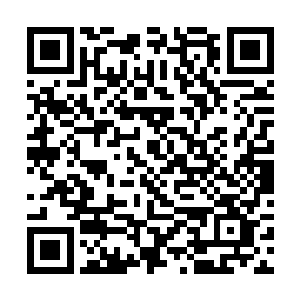 其实我们从知道师公他们带着建木上昆仑会出事之后二维码生成