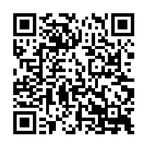 其实我们这些人带的东西应该都是用于战斗的法宝和符箓二维码生成