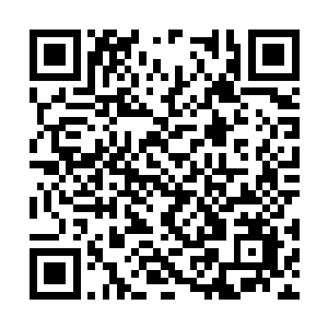 其实我们都不知道多少年没有与衍域的人打过交道二维码生成