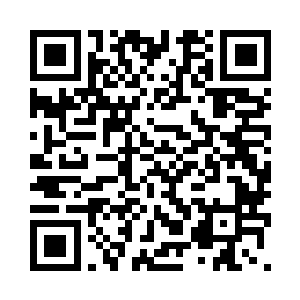 其实我做的每一件事情都很小很小二维码生成