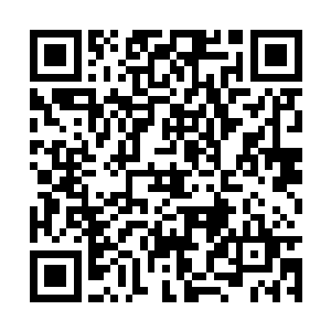 其实我对你们地球人通过修炼来增加体内的生物能二维码生成