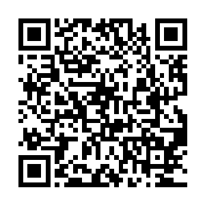 其实我挺好奇你现在的实力到底是到了什么样的程度二维码生成